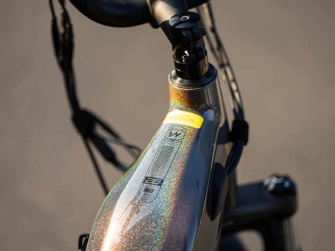 Velowave Grace 2.0 Step-Thru Electric Bike Close-up of a bicycle frame with a blurred background. Valowave Grace 2.0 Step-Thru Electric Bike
