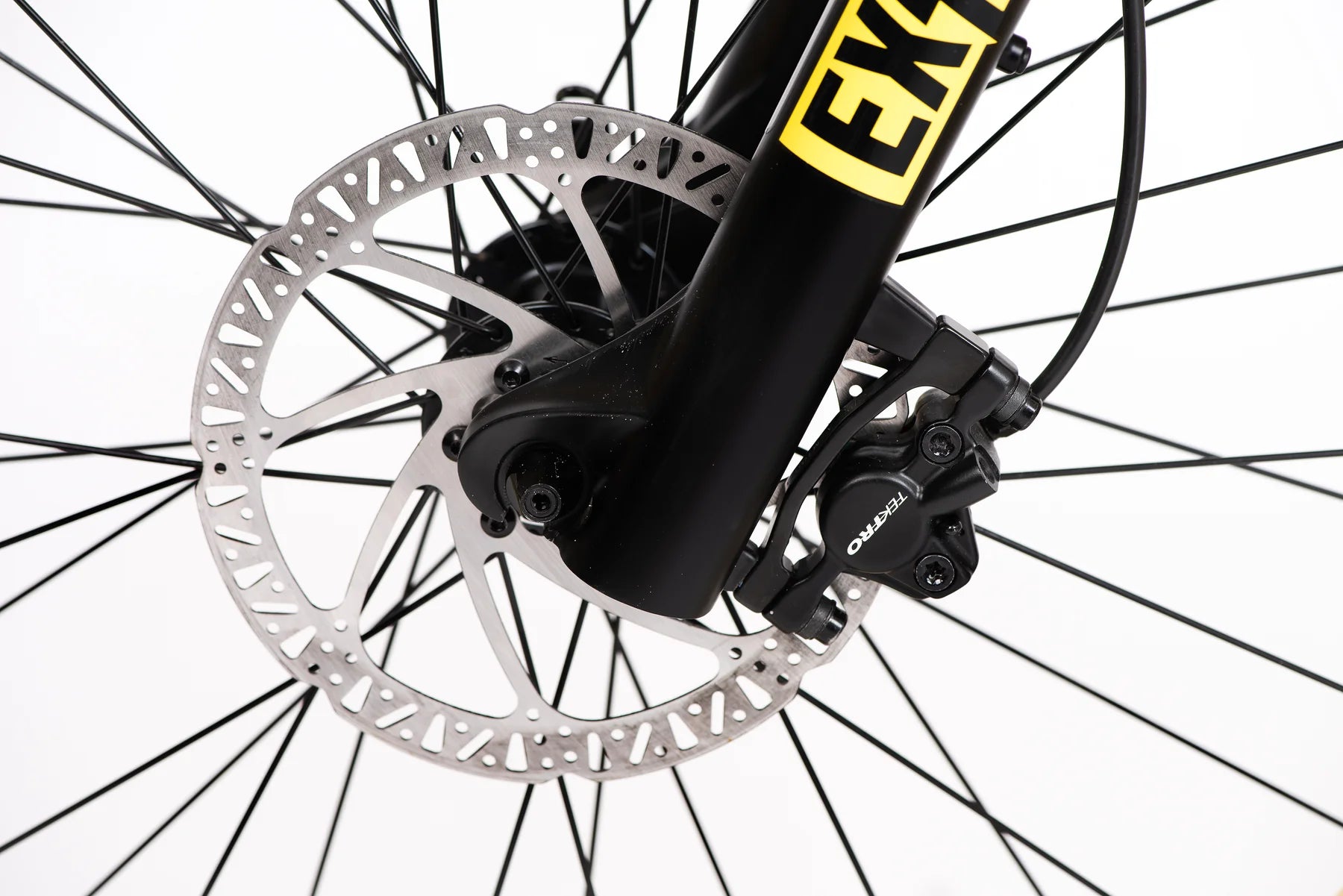 The Iconic Electric Cruiser The Iconic Electric Cruiser