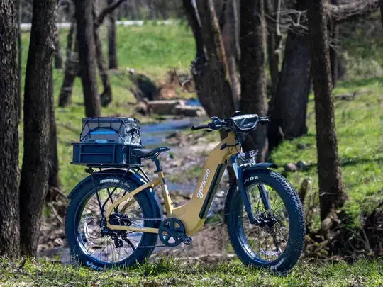YOUNG Electric Step-Through Commuter Ebike YOUNG Electric Step-Through Commuter Ebike