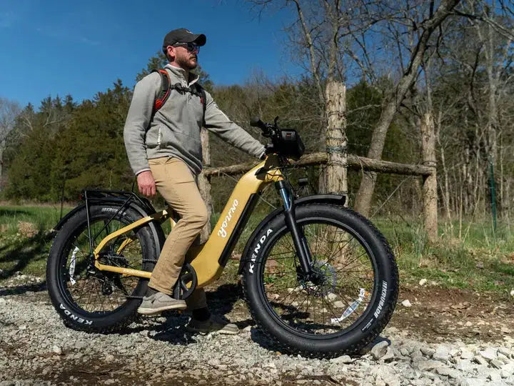YOUNG Electric Step-Through Commuter Ebike YOUNG Electric Step-Through Commuter Ebike