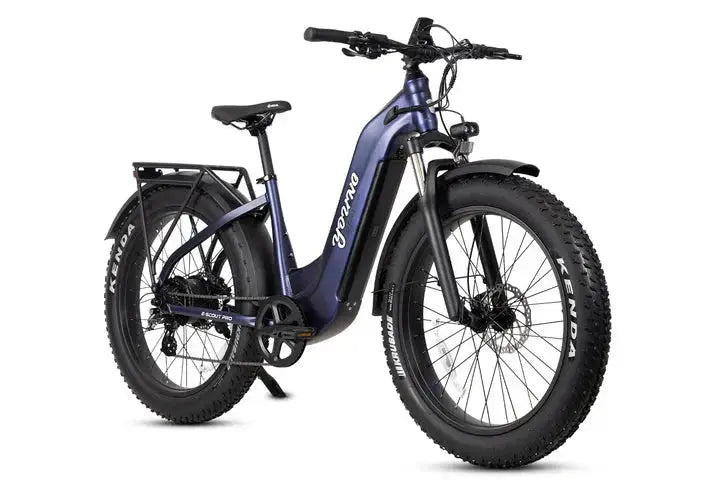 YOUNG Electric Step-Through Commuter Ebike YOUNG Electric Step-Through Commuter Ebike