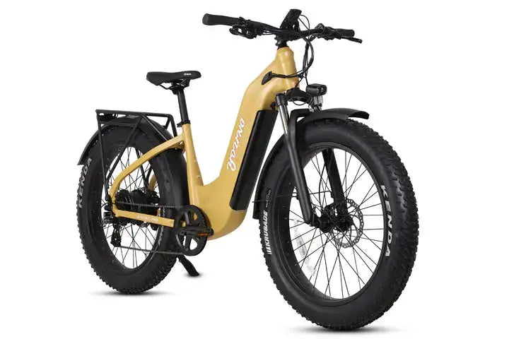 YOUNG Electric Step-Through Commuter Ebike YOUNG Electric Step-Through Commuter Ebike