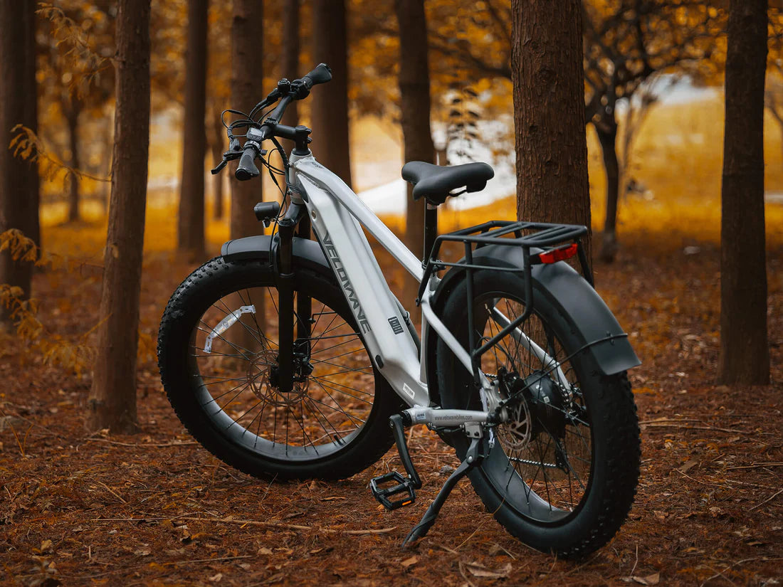 Velowave Ranger 3.0 Fat Tire All-Terrain Electric Bike Electric bike leaning against a tree in a forest during autumn. Valowave Ranger 3.0 Fat Tire All-Terrain Electric Bike