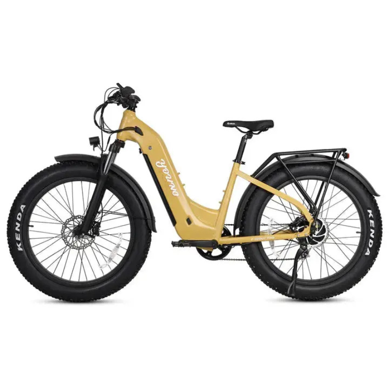 YOUNG Electric Step-Through Commuter Ebike YOUNG Electric Step-Through Commuter Ebike