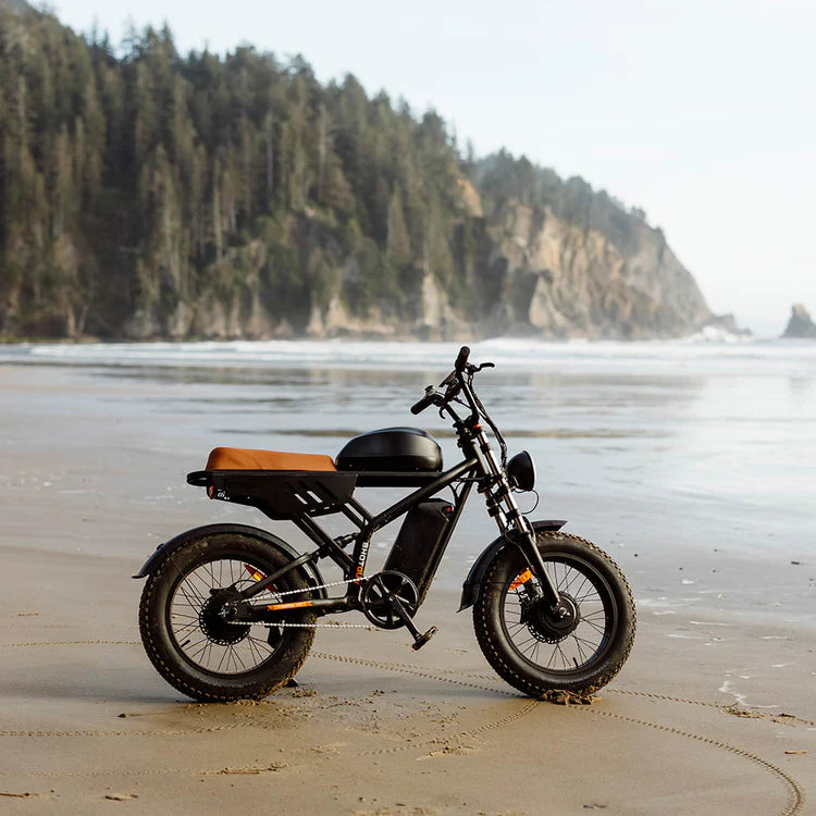 Freego Flash F3 Pro Max Dual Motor and Battery eBike Electric bike on a sandy beach with a forested cliff in the background. Freego Flash F3 Pro Max Dual Motor and Battery eBike