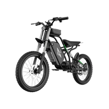 Freego Nova 3 Mid-Drive All-Terrain Dirt eBike