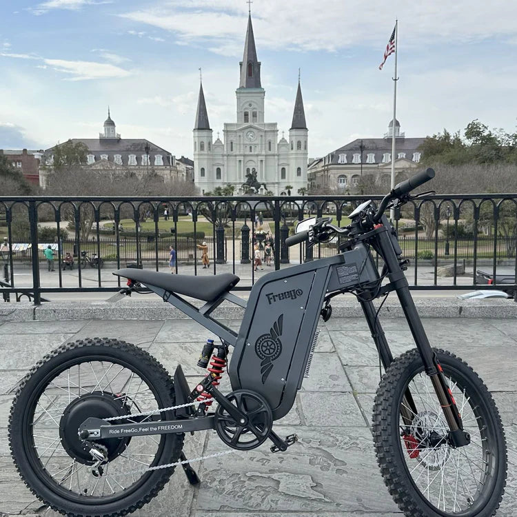 Freego X2 Pro All-Terrain Dirt eBike Electric bike with 'Frenzy' branding in front of a cityscape with a prominent cathedral. Freego X2 Pro All-Terrain Dirt eBike