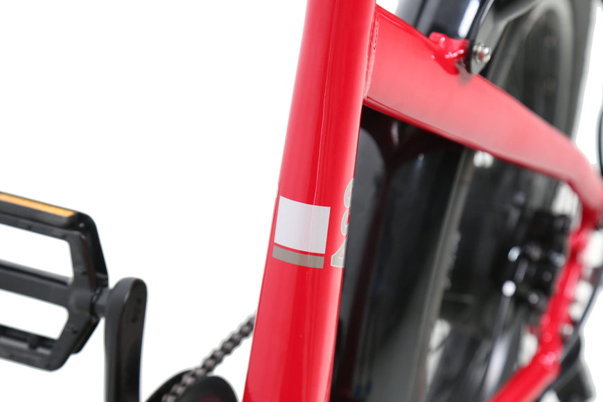 Close-up of a red bicycle frame with a white label on a white background. ACE Utility Cruiser EBike