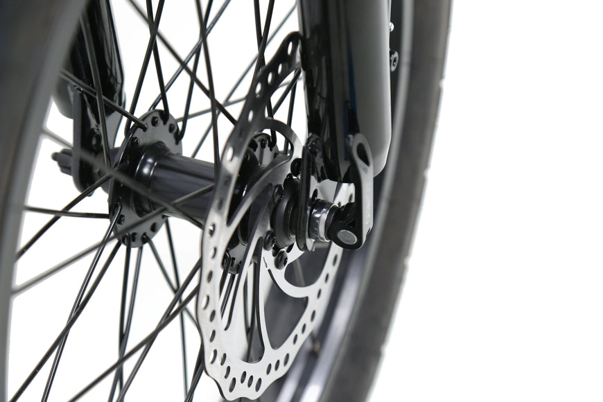 Close-up of a bicycle wheel with disc brake system on a white background. ACE Utility Cruiser EBike