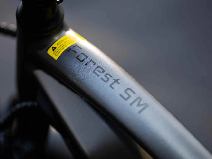 Close-up of a bicycle frame with 'Forest SM' branding on a blurred background. Valowave Forest SM MTB