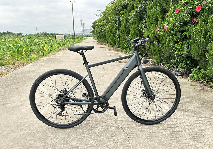 Gray bicycle on a paved path with greenery in the background. Freego E7 Electric Bicycle For City Commuting