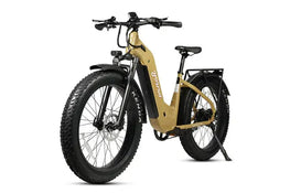 YOUNG Electric Step-Through Commuter Ebike