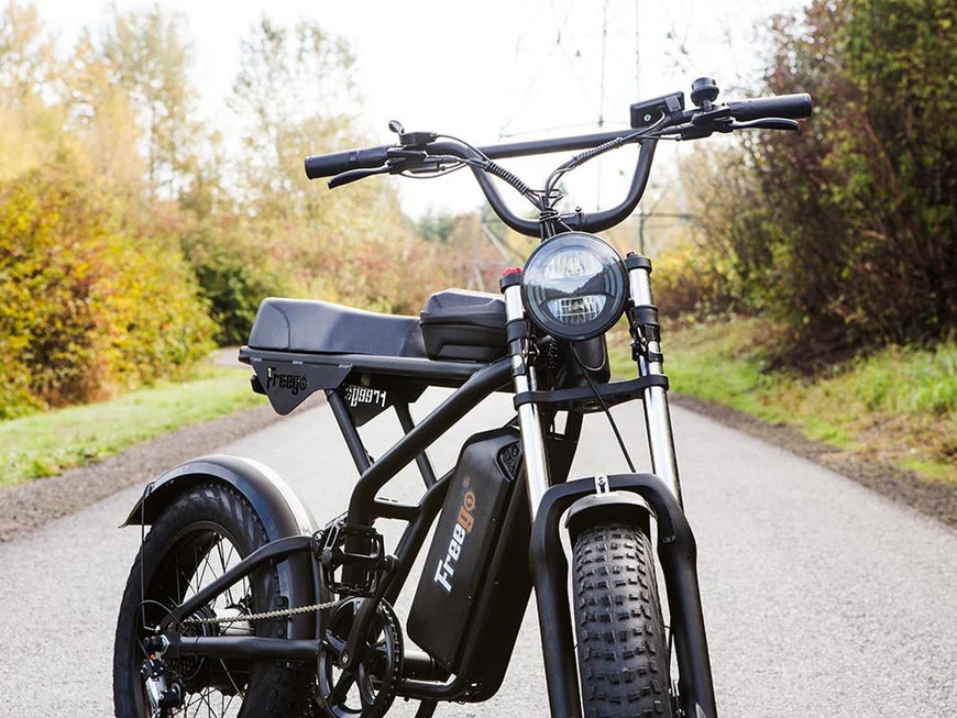 Electric bike on a path with trees in the background. Freego Shotgun Prime F2 Pro Electric Cargo Bike