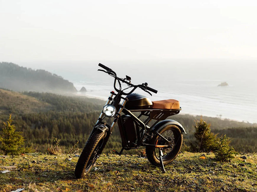 Motorcycle parked on a grassy hill with a misty forest background. Freego Flash F3 Pro Max Dual Motor and Battery eBike