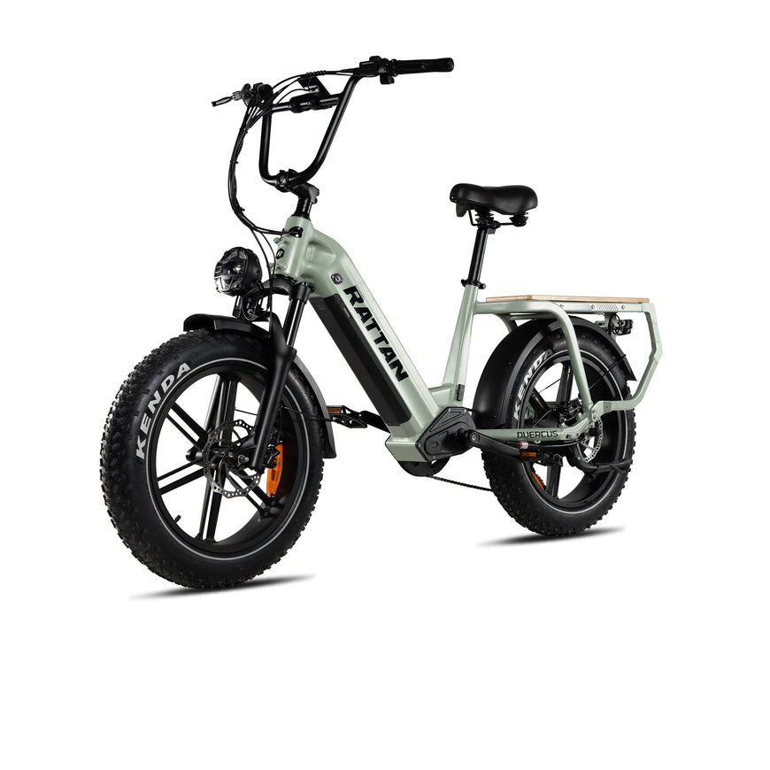 Electric bike with 'RATTAN' branding on a white background. Rattan Quercus Long Range Utility Ebike