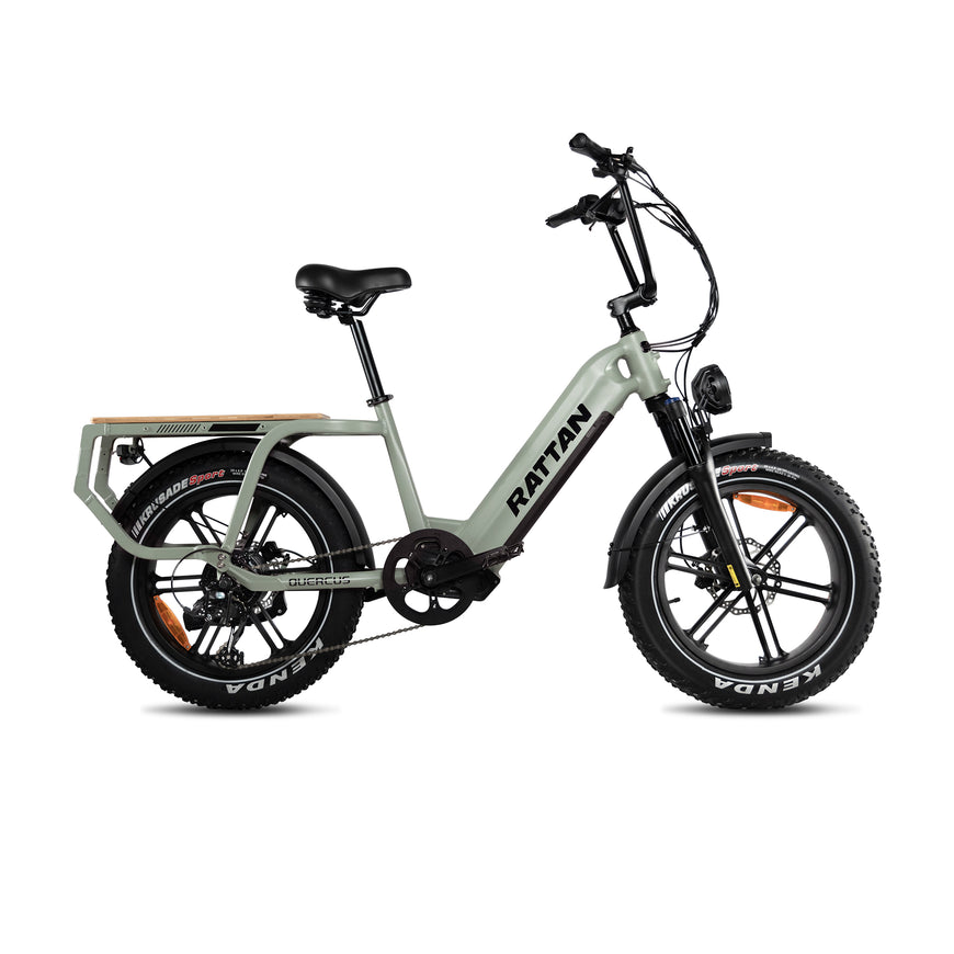 Electric bike with 'Rattan' branding on a white background. Rattan Quercus Long Range Utility Ebike