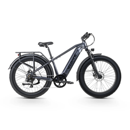 Electric bike on a white background. Valowave Ranger 3.0 Fat Tire All-Terrain Electric Bike