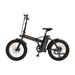 Fat Tire Folding Electric Bike A20