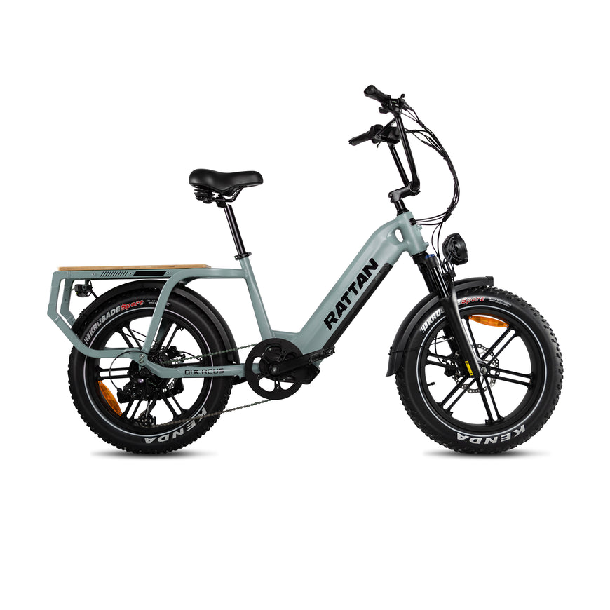 Electric bike with 'Rattan' branding on a white background. Rattan Quercus Long Range Utility Ebike